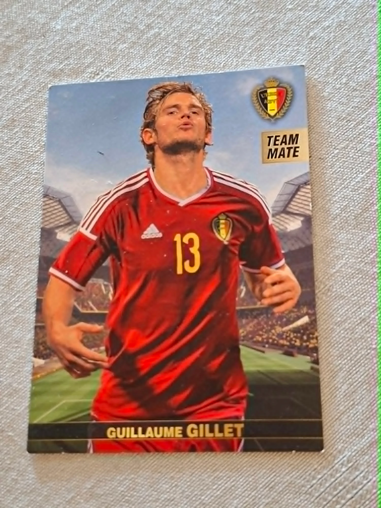 Panini / Voetbalkaart / Guillaume Gillet / Rode Duivels